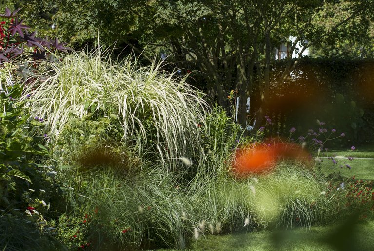 Gartenporträt: Roter Faden in Weiss