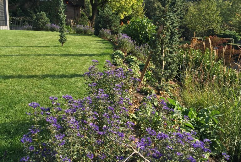 Die Pflege direkt nach dem Gartenbau