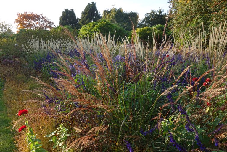 Beitrag im «Der Gartenbau» (Ausgabe 2/2022)