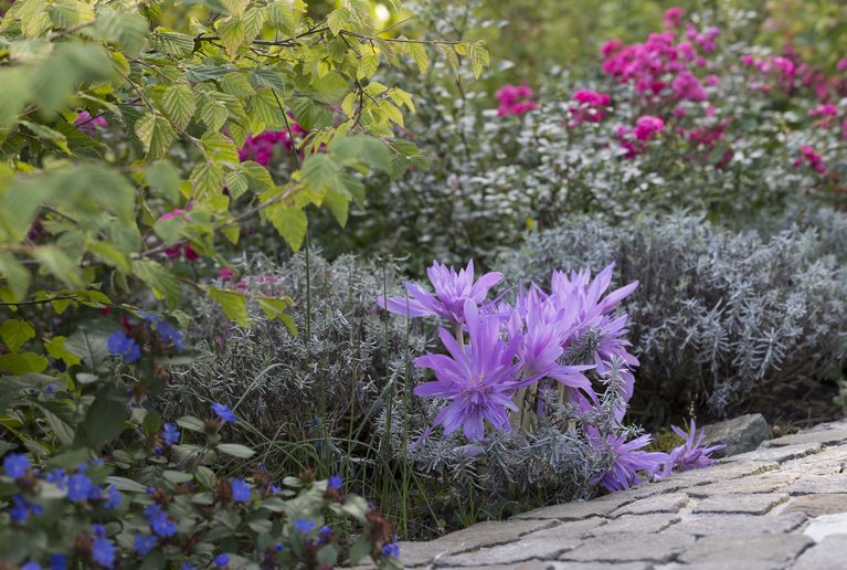 Der Garten im Herbst