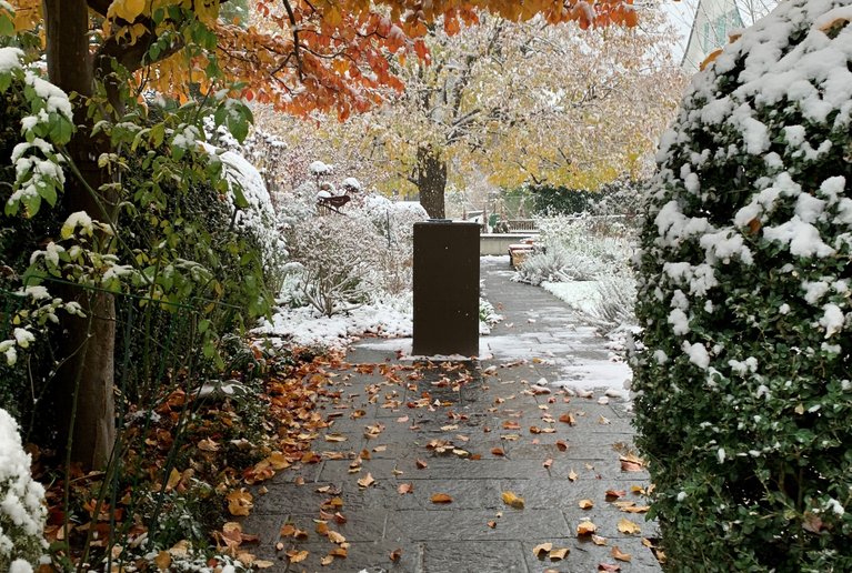 Der Garten im Winter