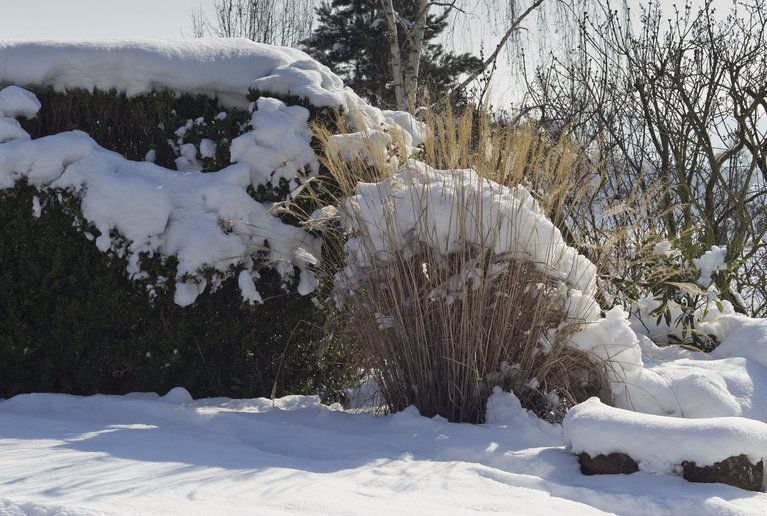 Der Garten im Winter