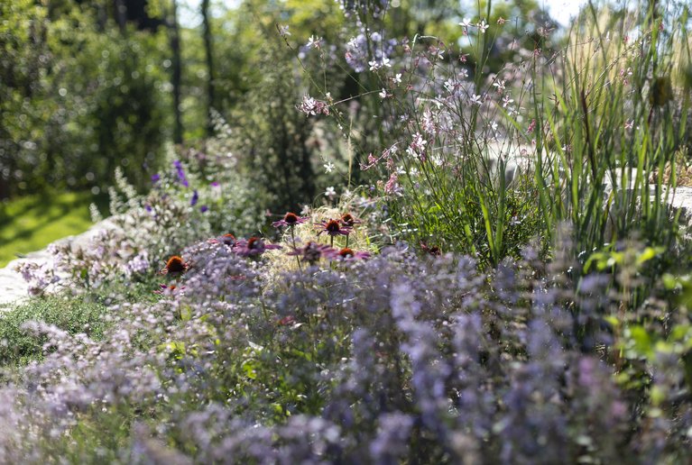 Der Garten im Sommer